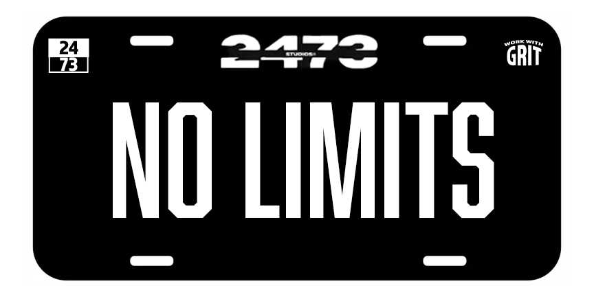 NO LIMITS LICENSE PLATE