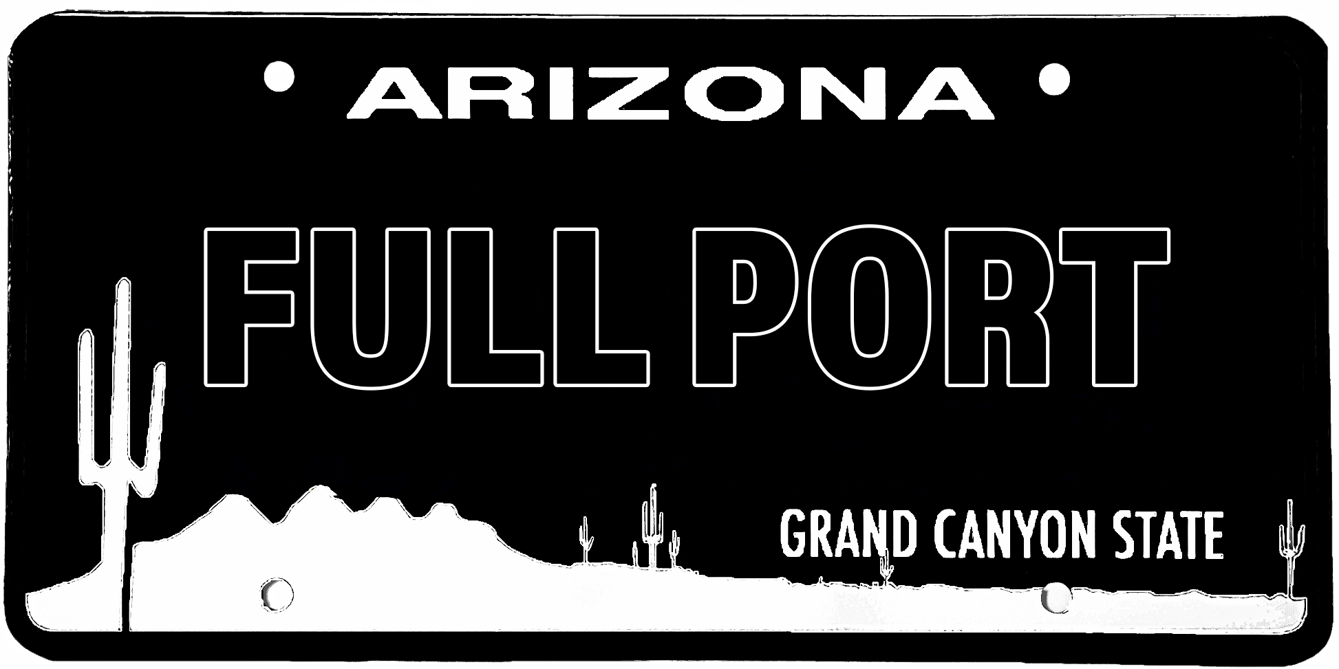Full Port Arizona License Plate