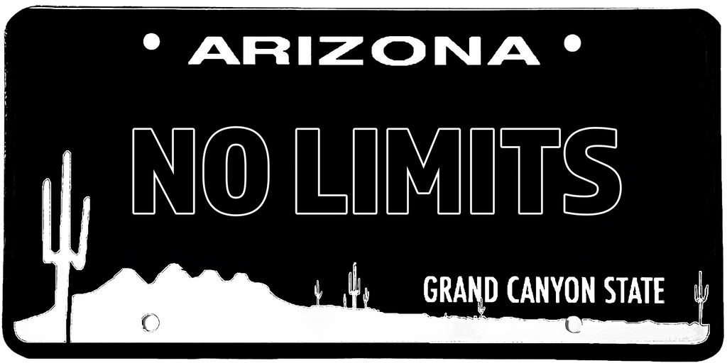 No Limits Arizona License Plate