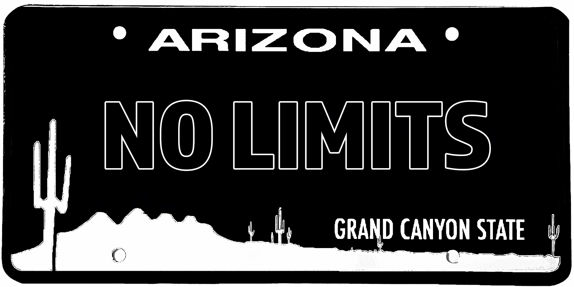No Limits Arizona License Plate